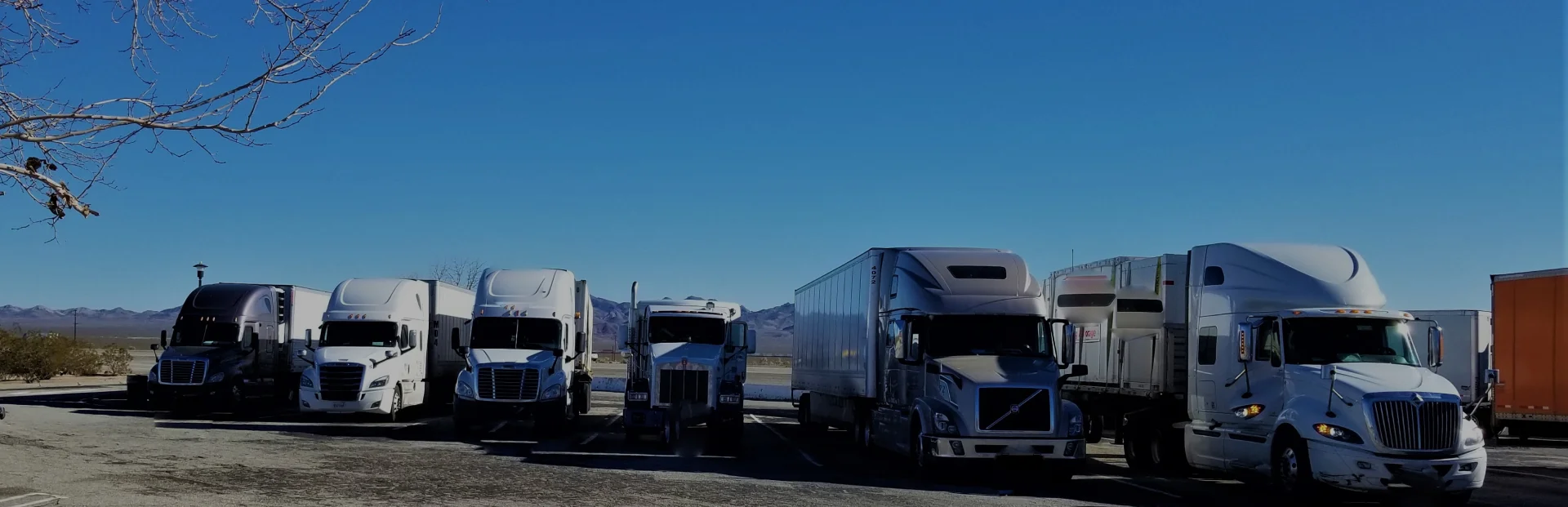 TOP Worldwide semi trucks in a line, representing reliable ground freight services and nationwide full truckload shipping solutions.